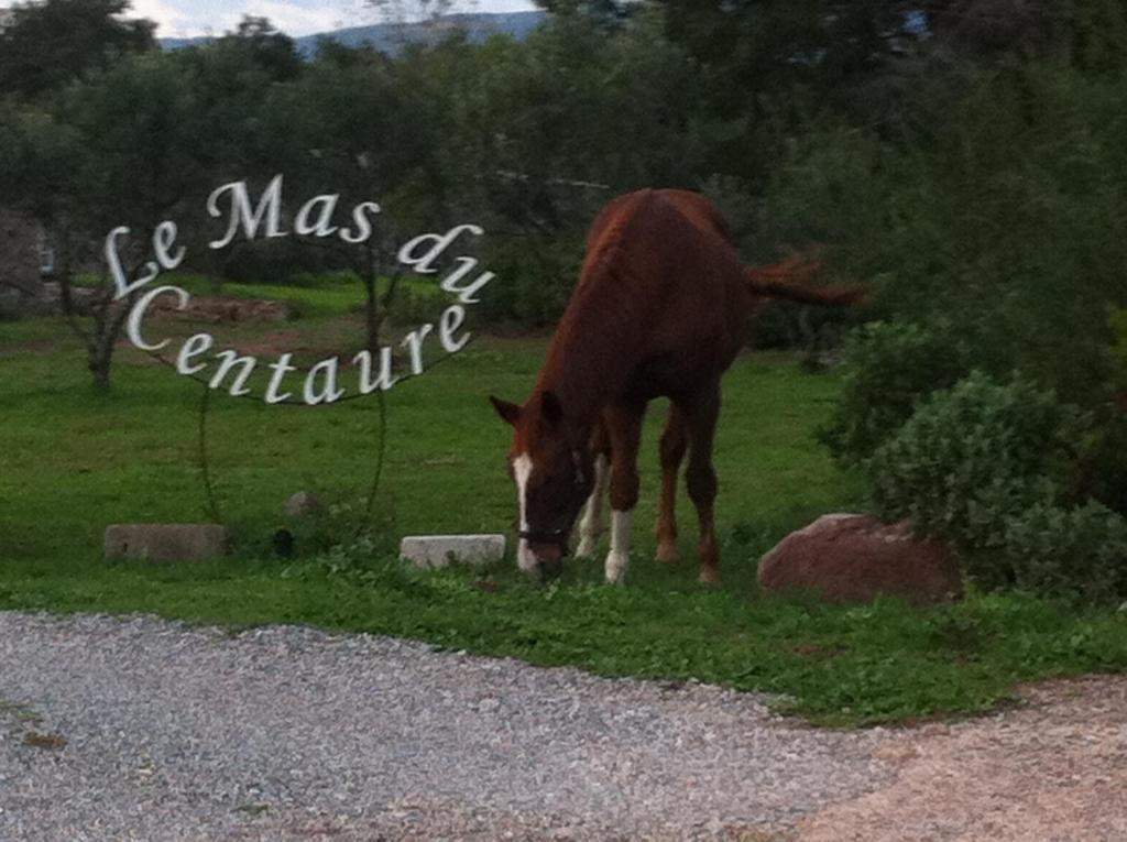 Ferienwohnung Le Mas Du Centaure Puget-sur Argens Exterior foto