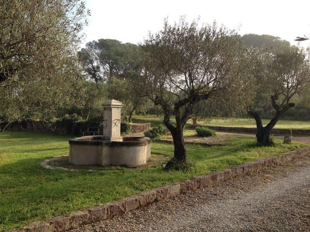 Ferienwohnung Le Mas Du Centaure Puget-sur Argens Exterior foto